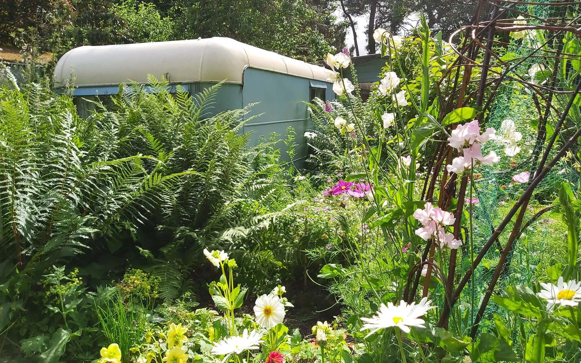 Original Caravan in the Original Garden surrounded by flowers in summer